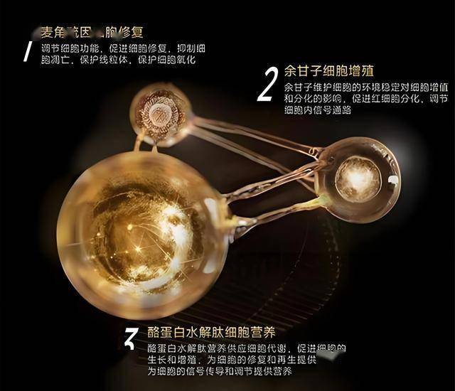 蓝莓外汇平台怎样今日外汇动态解读，哪些货币值得留意？
